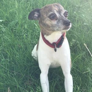 Meet your Posher, Diane